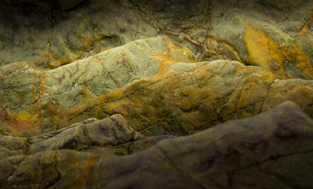 抽象的黄色和绿色海洋岩石背景，特写闪亮的细节。图片下载