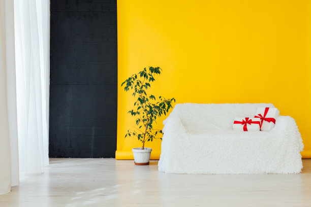 室内白色沙发，搭配家居植物和礼品图片下载