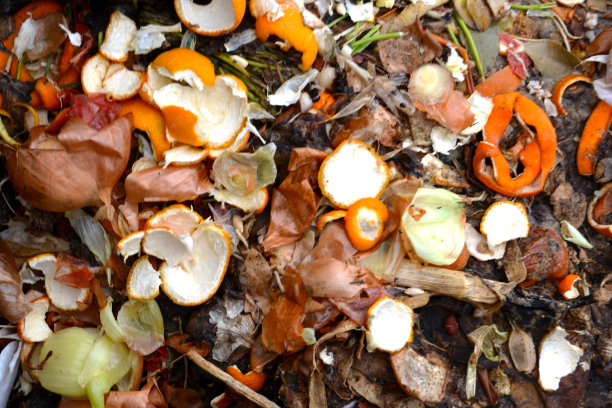 花园里的污水坑。将一堆腐烂的食物残渣、植物残渣、垃圾、垃圾、泔脚堆成堆肥图片下载