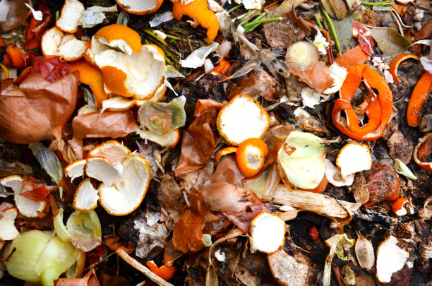 花园里的污水坑。将一堆腐烂的食物残渣、植物残渣、垃圾、垃圾、泔脚堆成堆肥图片下载