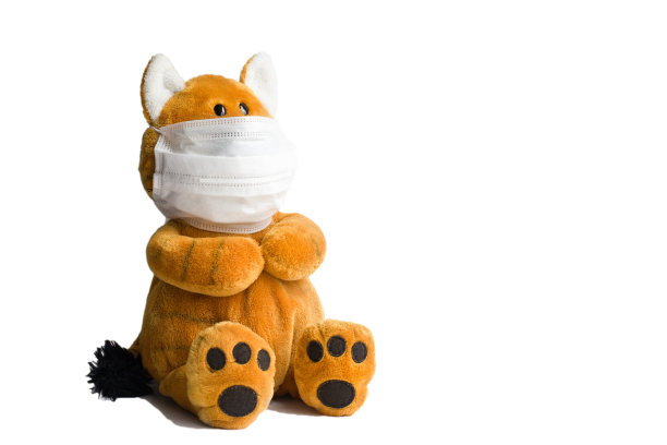 红色玩具毛绒猫在医疗白色面具上的白色背景与文本的地方图片下载