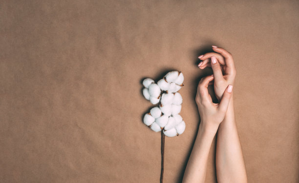 女人双手拿着一束棉花素材图片