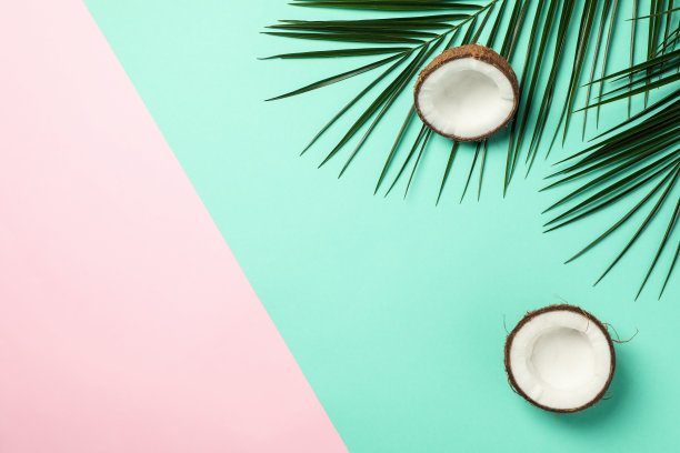 棕榈枝和椰子上两个色调的背景，文字空间图片下载