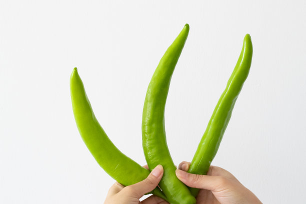 有机生青椒图片下载