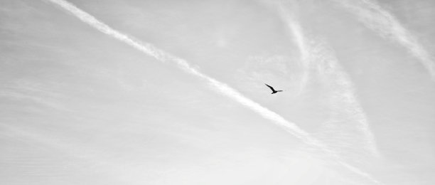 在云层之上图片下载