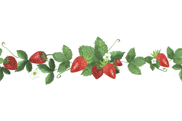 无缝边框与新鲜的红草莓图片下载