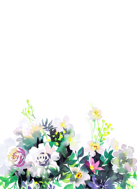 花卡帧图片下载