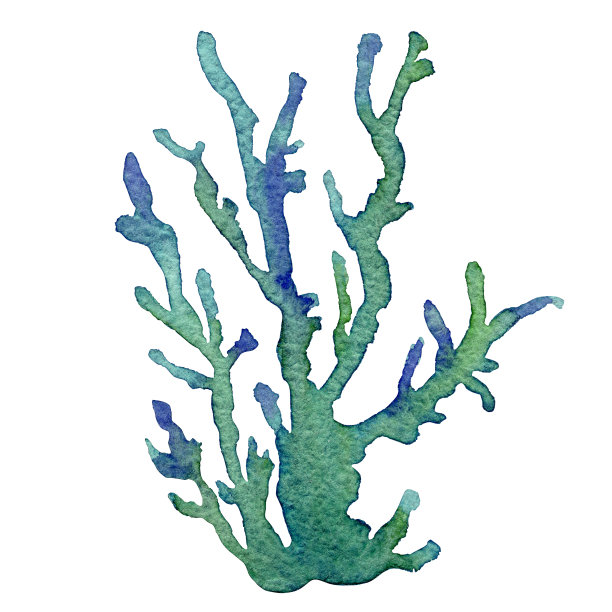 水彩画的绿色珊瑚礁在白色的背景。手绘在纸上。图片下载