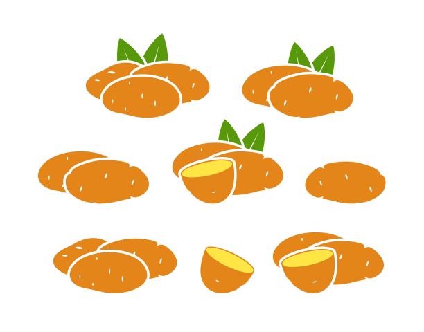 土豆的标志。孤立的马铃薯在白色背景图片下载