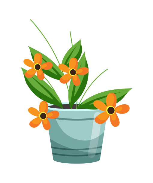 在白色背景上的盆花组成图片下载