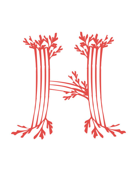 字母H，粉红色的海藻，水下海洋植物，海珊瑚元素，平面矢量插图在白色的背景图片下载