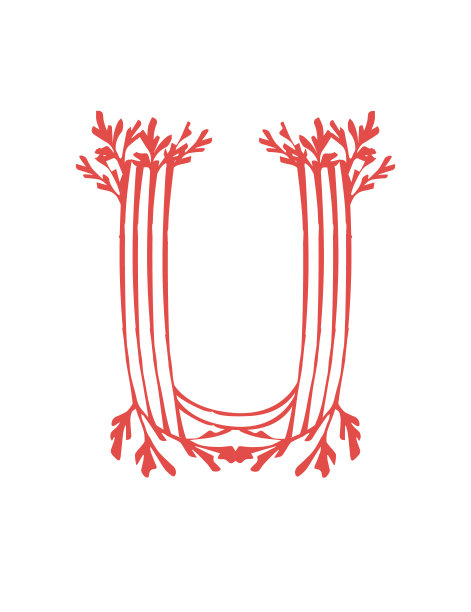 字母U，粉红色的海藻，水下海洋植物，海珊瑚元素，平面矢量插图在白色的背景图片下载