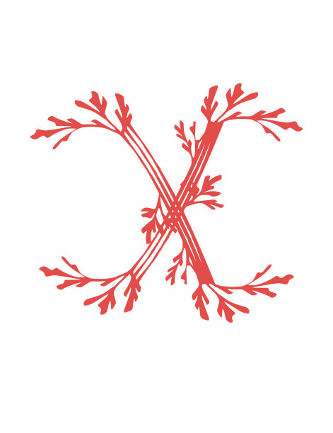 字母X，粉红色的海藻，水下海洋植物，海珊瑚元素，平面矢量插图在白色的背景图片下载