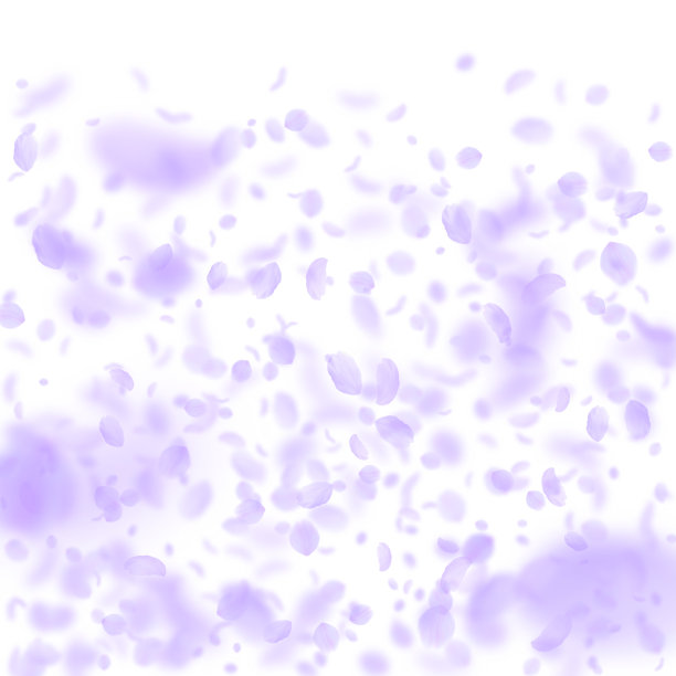 紫罗兰花瓣飘落。奇妙的romant图片下载