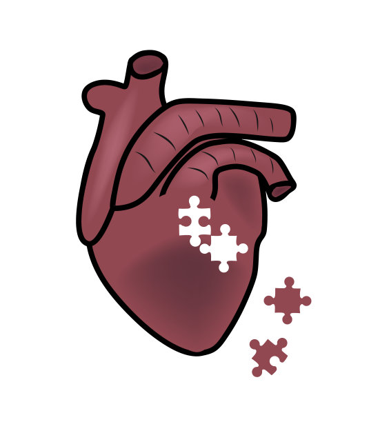 人类的心。心脏疾病。矢量插图。图片下载