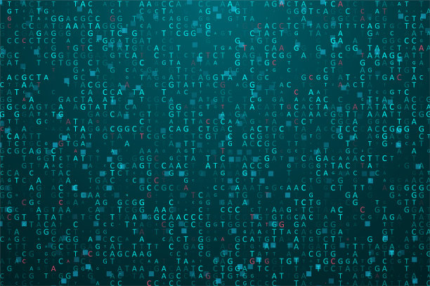 大基因组数据可视化图片下载