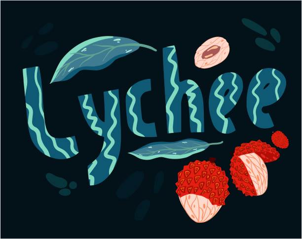 水果荔枝图片下载
