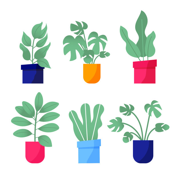 家的花园。收集彩色花卉植物，鲜艳的花盆。一套有叶子的室内植物，多汁的仙人掌。在白色背景上孤立的元素。平面向量插图图片下载