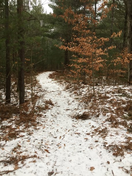 春天的雪图片下载