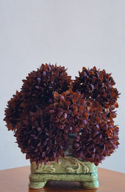 静物画图片下载