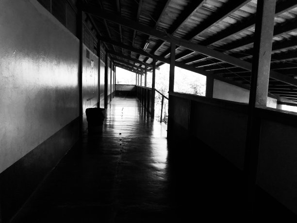 殖民的房子图片下载