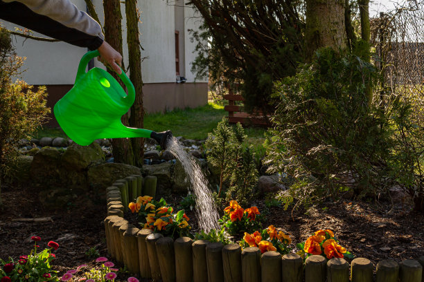 用喷壶浇花。图片下载