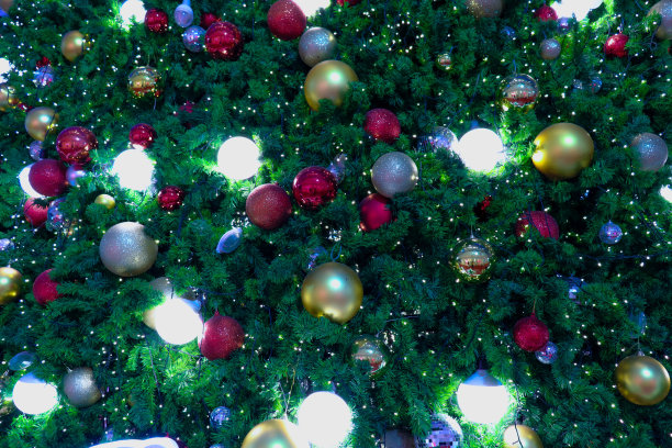 圣诞树图片下载