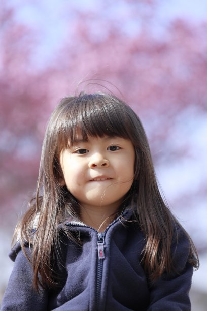 日本女孩和樱花(5岁)图片下载
