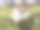 房子尺度模型在自然界图片下载