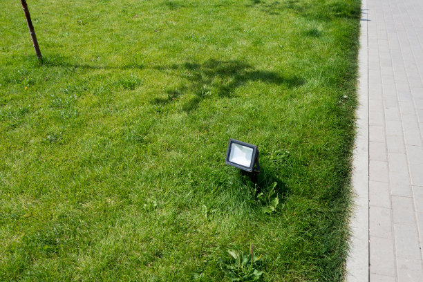 在城市公园的草坪上装饰照明的路灯。图片下载