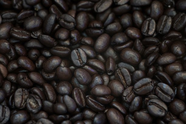 特写新鲜烘焙的香浓咖啡豆图片下载