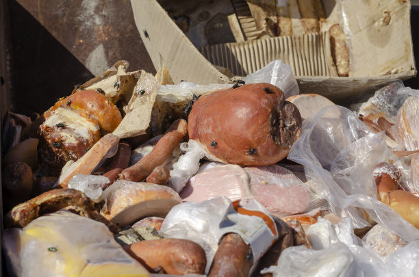 腐烂的香肠特写。图片下载