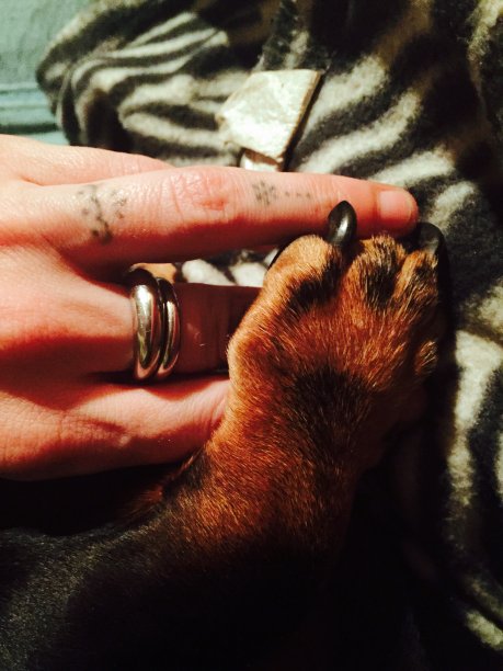 我爱的回忆图片下载