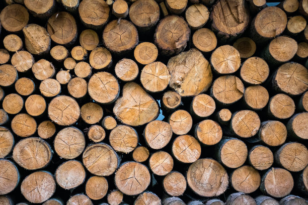 树日志背景图片下载