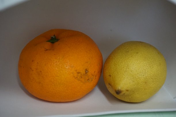 橘子和柠檬图片下载
