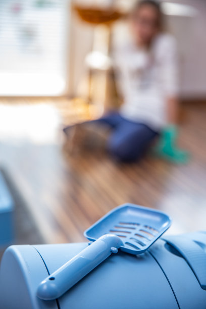 猫砂盒铲子与不认识的小女孩在背景-库存照片图片下载