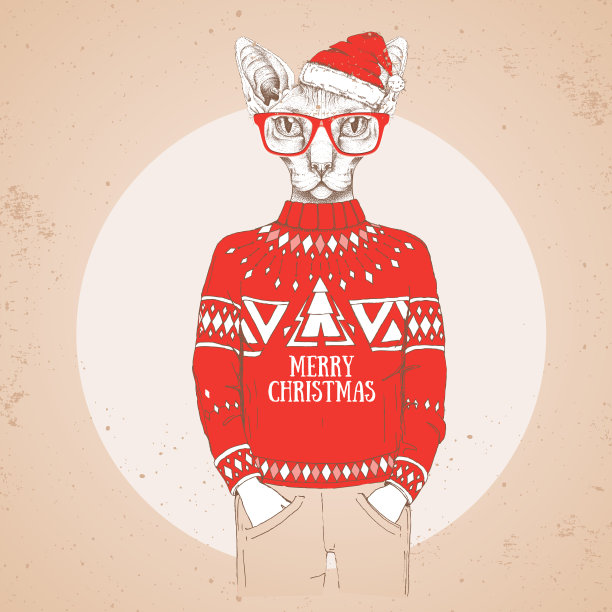 圣诞潮时尚动物斯芬克斯猫穿着新年帽和套头衫图片下载