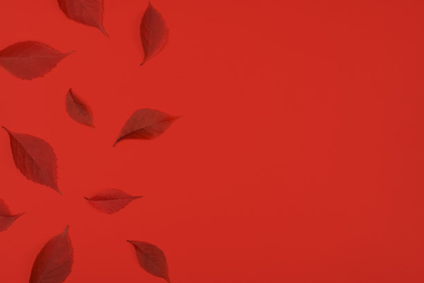 秋天框架与单色红色的秋天树叶图片下载