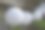 白纸灯笼仙灯图片下载