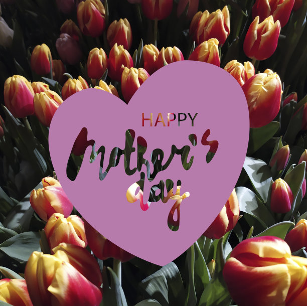 母亲节快乐广场问候设计。两种颜色的郁金香和手写的问候语切成心形图片下载