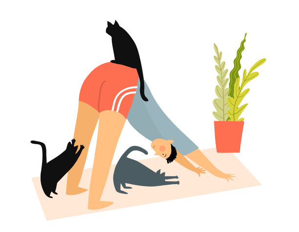 在家做瑜伽的趣事：男子做下犬式，猫咪们注视着他图片下载