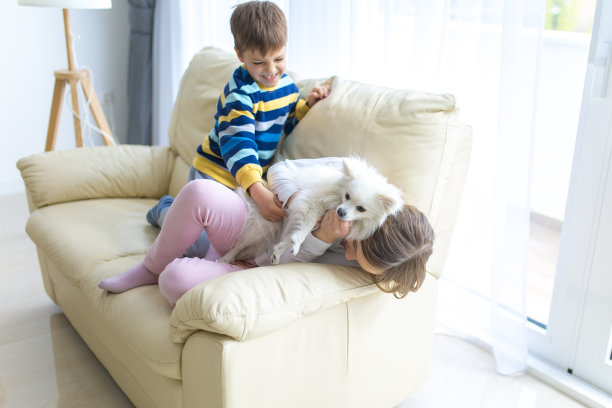 兄弟姐妹和他们的狗在家里玩图片下载