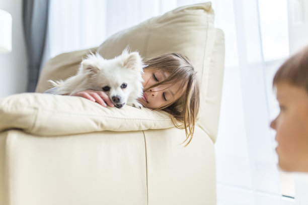 可爱的女孩躺在沙发上和她的狗在客厅在家里库存照片图片下载