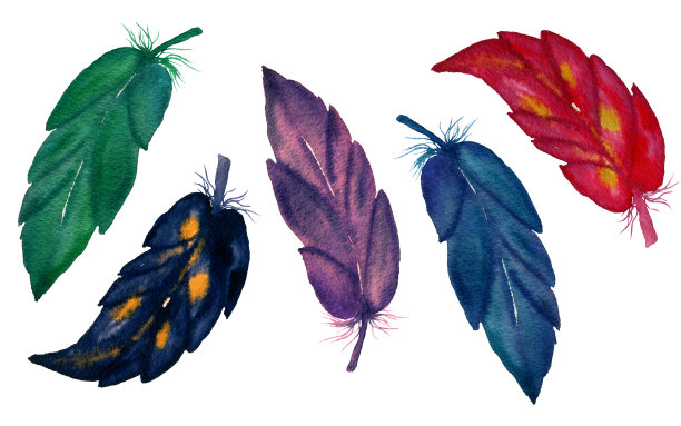 一套彩色的羽毛孤立在白色，水彩插图与手绘羽毛图片下载