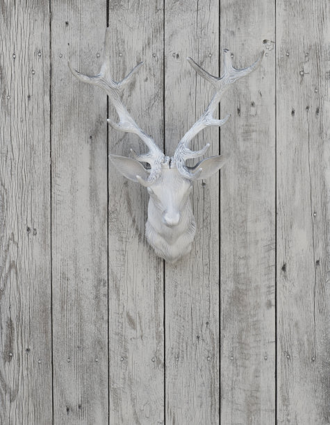 白色的圣诞鹿头在白色的木墙上图片下载