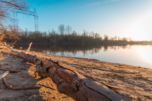 湖边沙滩上的干柴图片下载