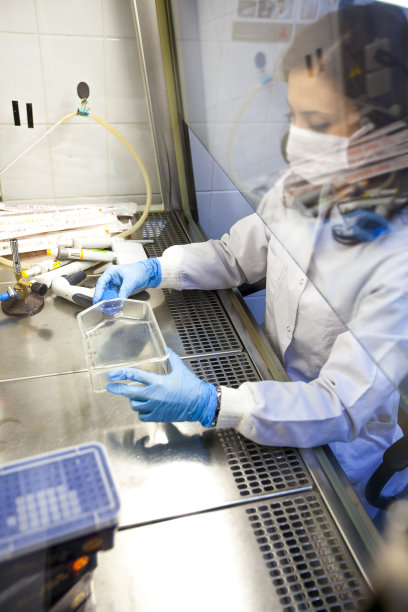 在生物安全实验室工作的科学家图片下载