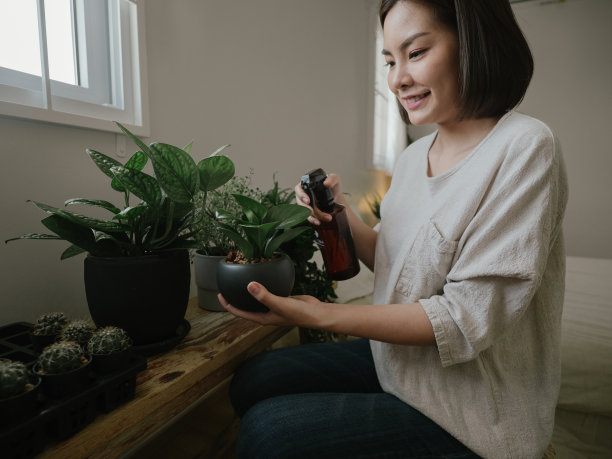 一名年轻女子正在整理仙人掌花盆图片下载