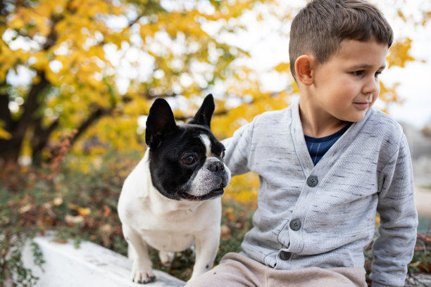 一个男孩和他的狗在看一些股票照片图片下载