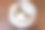 传统的日本粉白色盐渍樱花平顶视图以上浮动在茶水近距离与浅景深的木桌图片下载